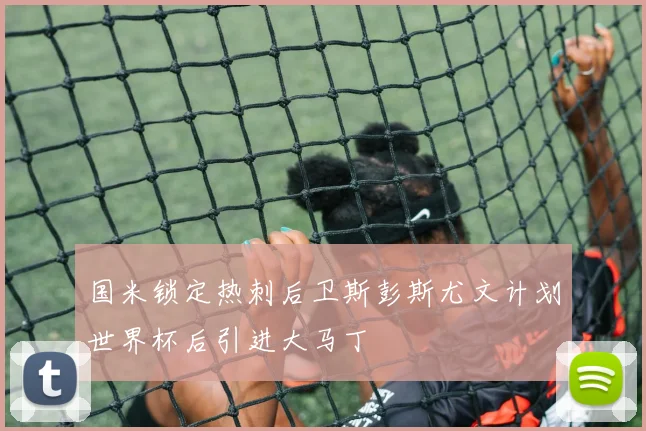 国米锁定热刺后卫斯彭斯尤文计划世界杯后引进大马丁