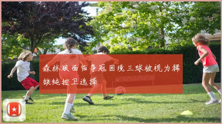 森林狼面临争冠困境三球被视为稀缺纯控卫选择