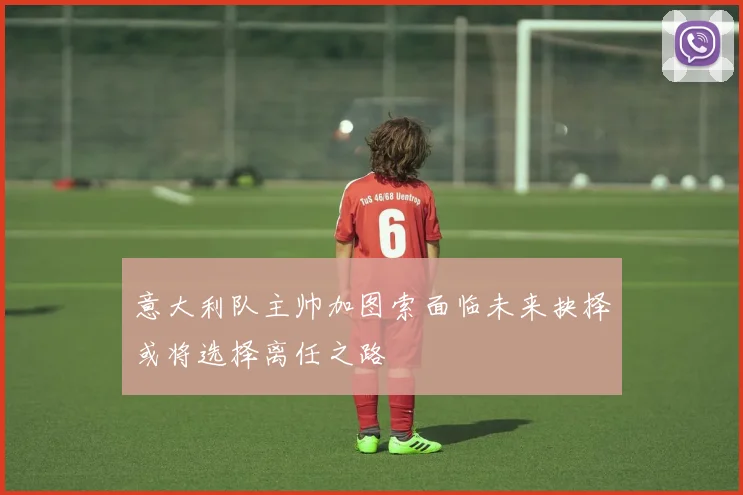 意大利队主帅加图索面临未来抉择或将选择离任之路